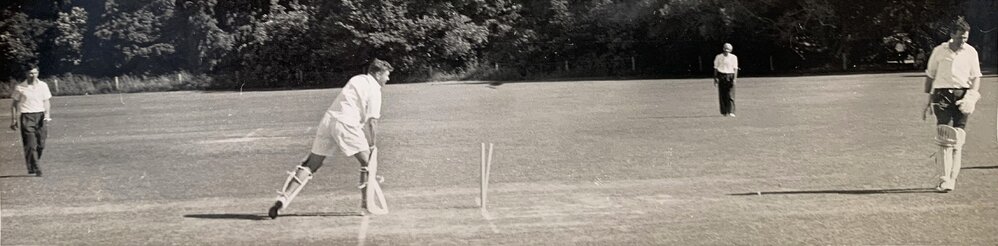 Social cricket game - 1 of 4