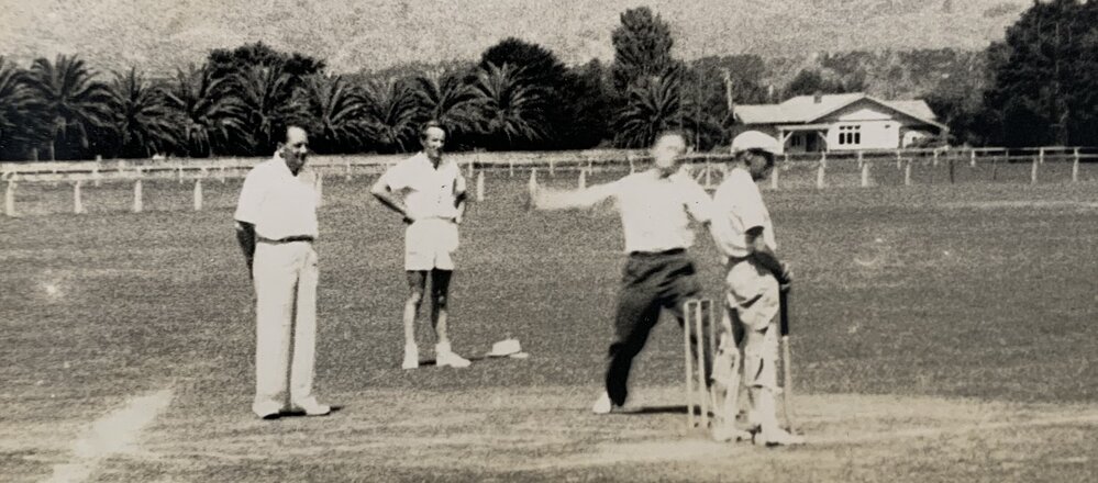 Social cricket game - 2 of 4