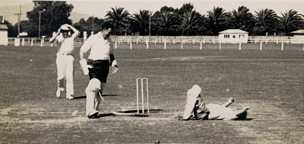 Social cricket game - 3 of 4