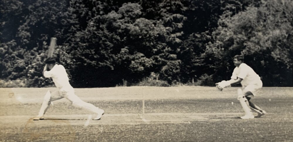 Social cricket game - 4 of 4