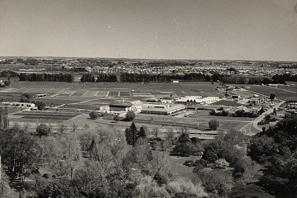 Grasslands view from the Massey water tower