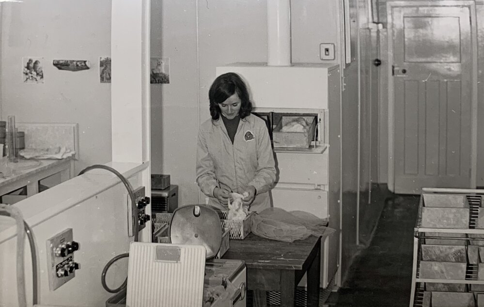 Wool Metrology - 2 of 7