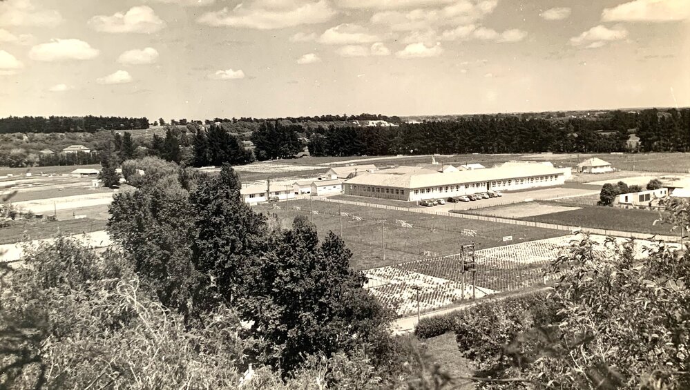 Grasslands - Summer/Spring - 1958