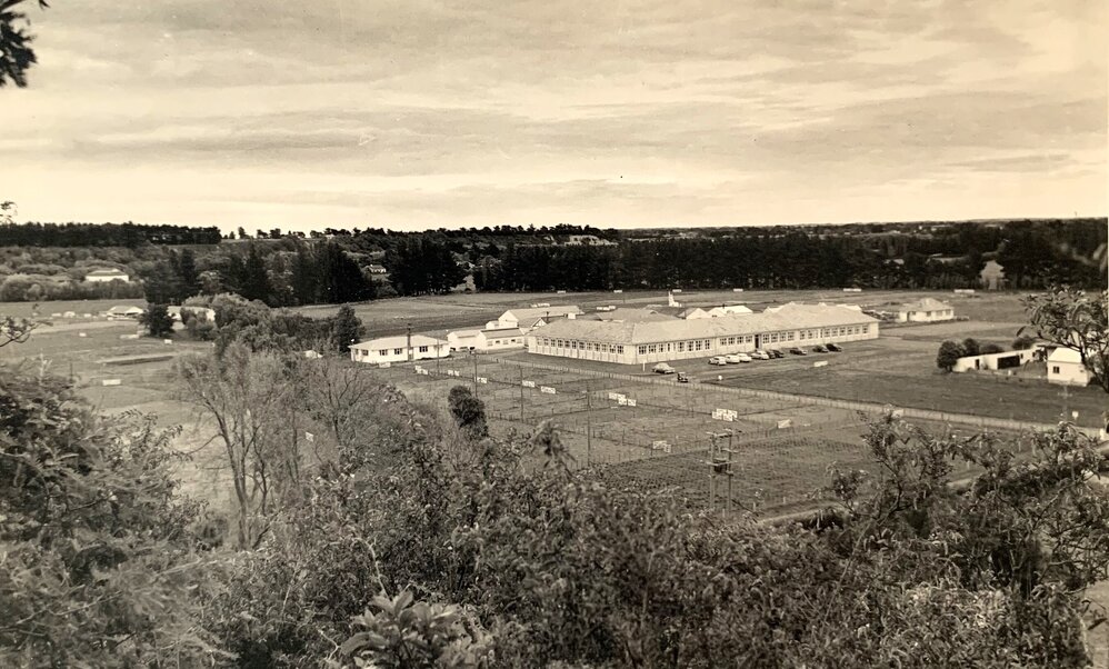 Grasslands - Autumn/Winter - 1958