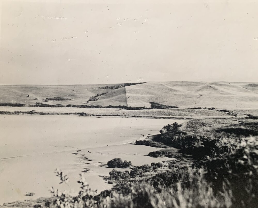 Effects of top dressing