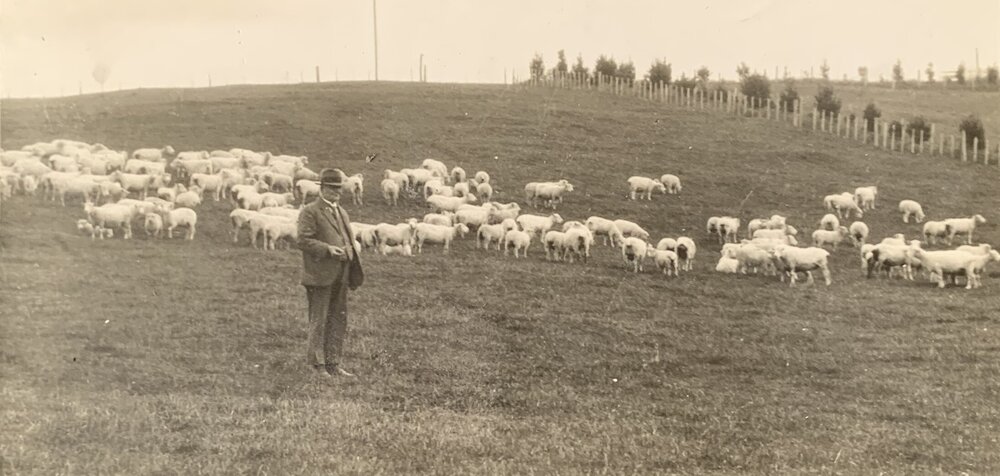 Farm of Mr Frank J. Farrell