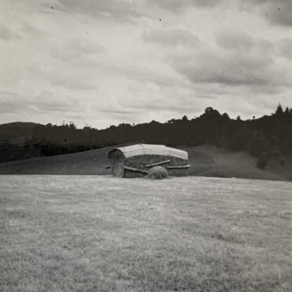 The resulting haystack after a clean up before top dressing