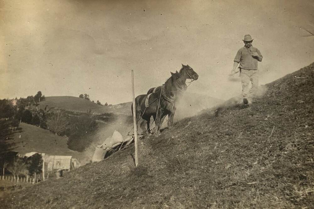 Top dressing - Hill Country