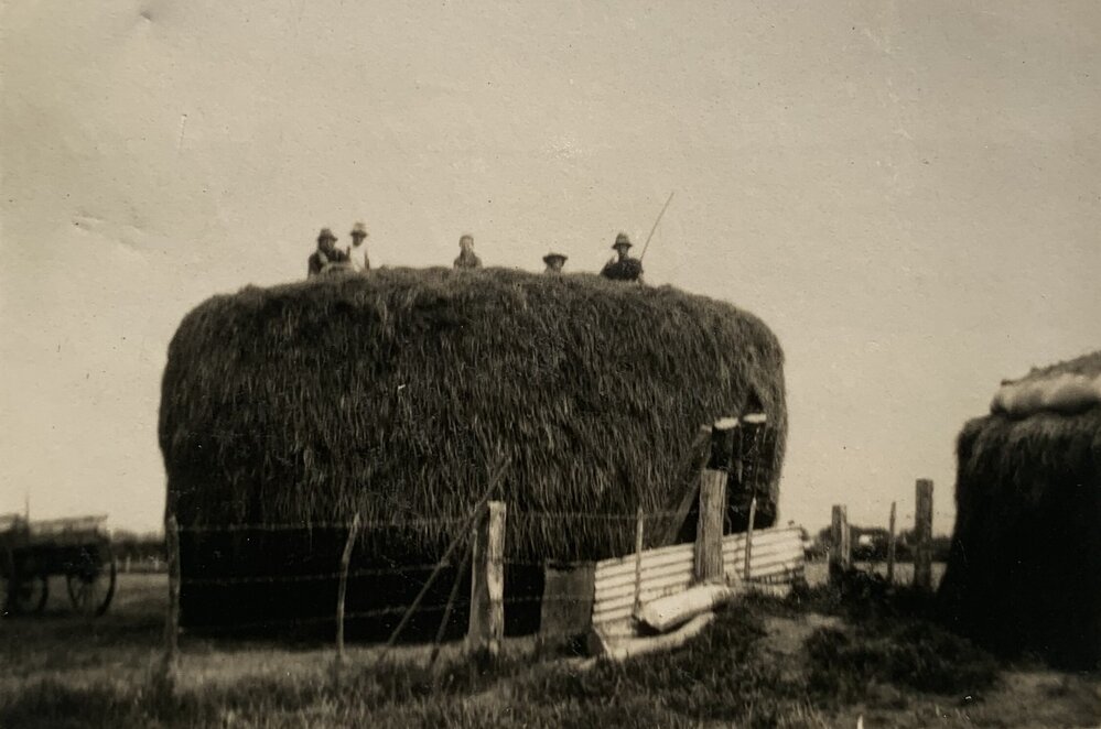 Ensilage stack from a 5 acre paddock
