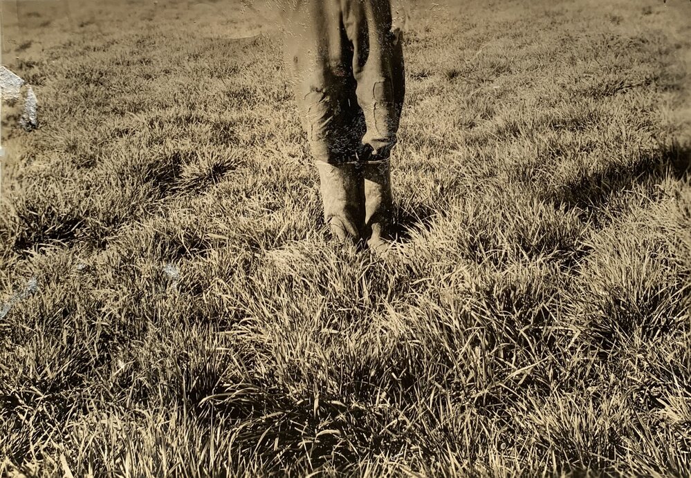 Lush pasture in a 1937 field