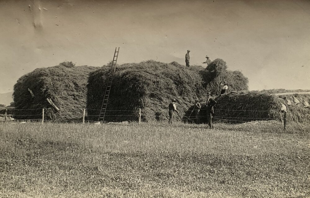 Men at work around the ensilage and haystacks