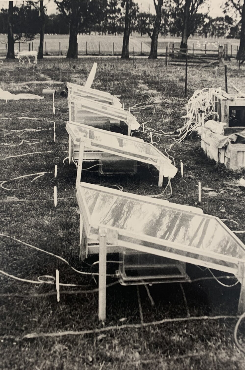 Nitrogen - measuring losses from urine patches