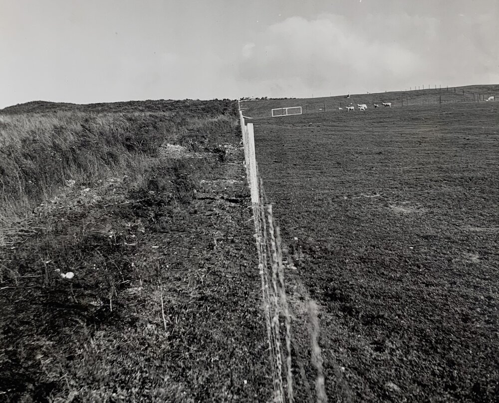 Kaikohe Farm 1962 - 1 of 4