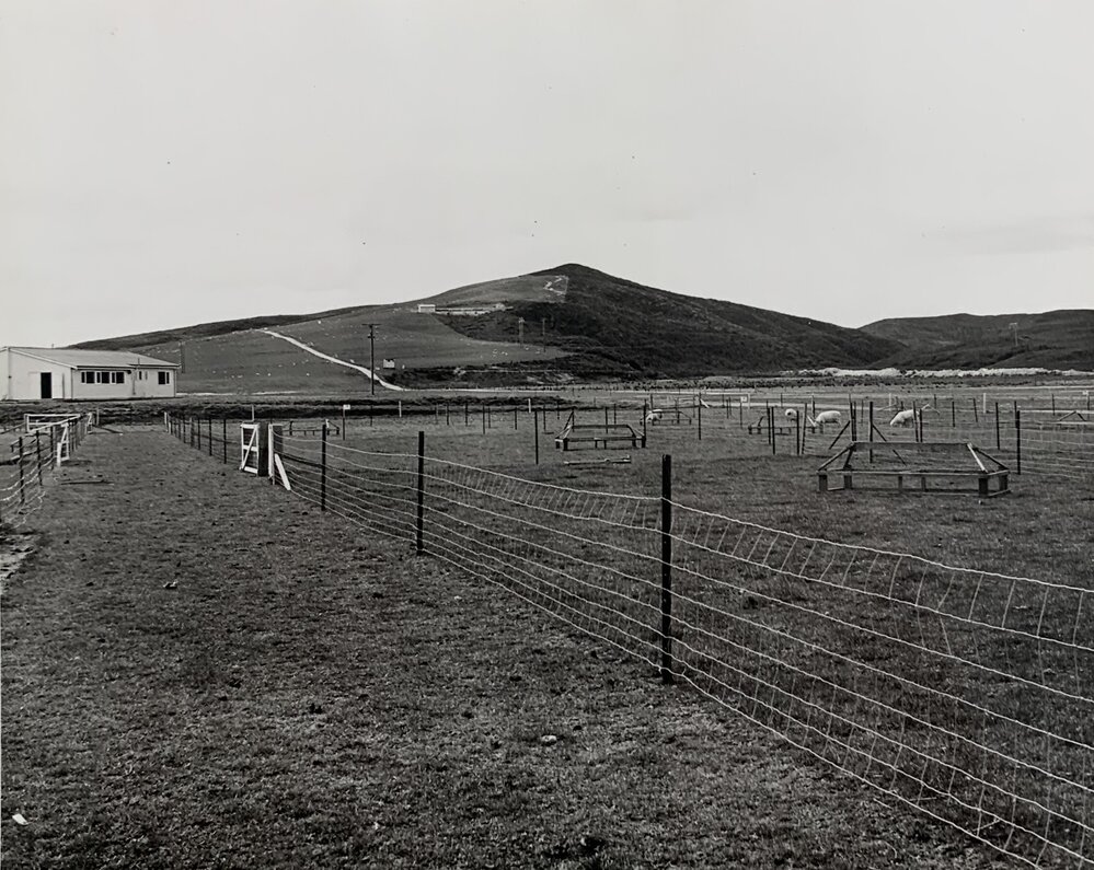 Kaikohe Farm 1962 - 2 of 4