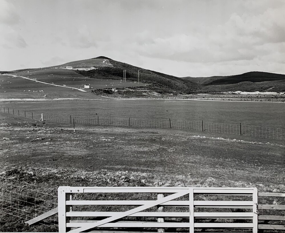 Kaikohe Farm 1962 - 4 of 4