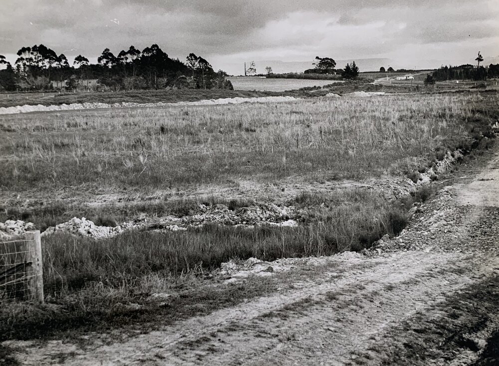 Kaikohe Farm 1959 - 5 of 13