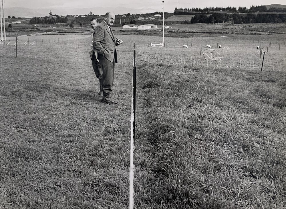 Kaikohe Farm 1959 - 4 of 13