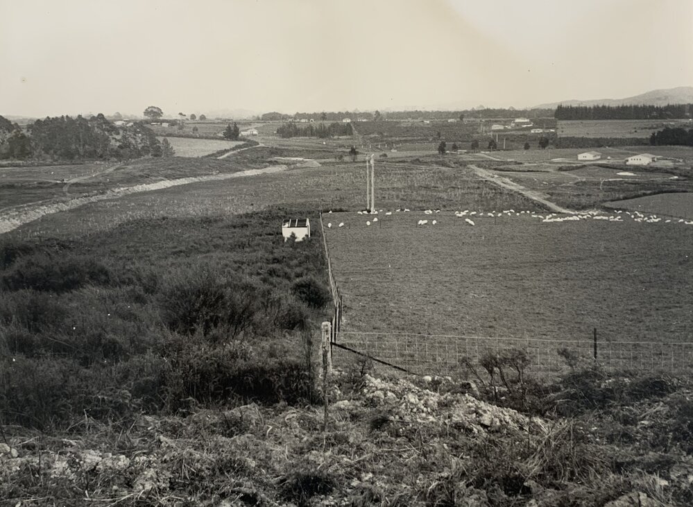 Kaikohe Farm 1959 - 2 of 13