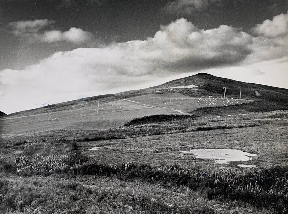 Kaikohe Farm 1959 - 8 of 13