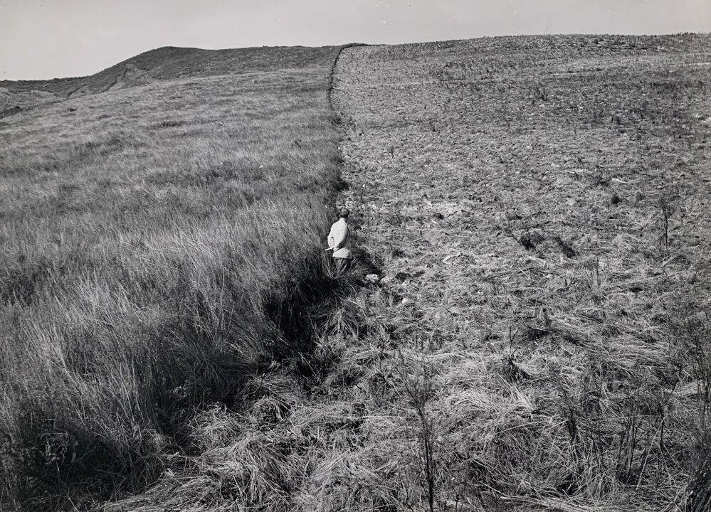 Kaikohe Farm 1959 - 7 of 13