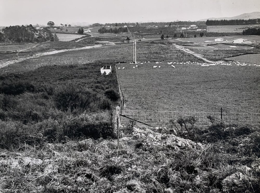Kaikohe Farm 1959 - 11 of 13