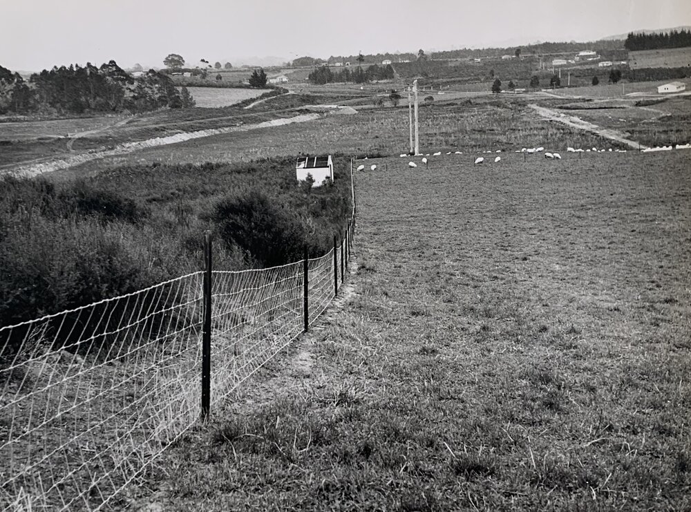 Kaikohe Farm 1959 - 13 of 13