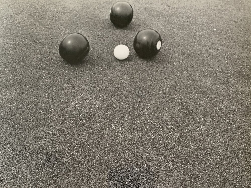 Cotula turf and the bowling green - 7 of 8