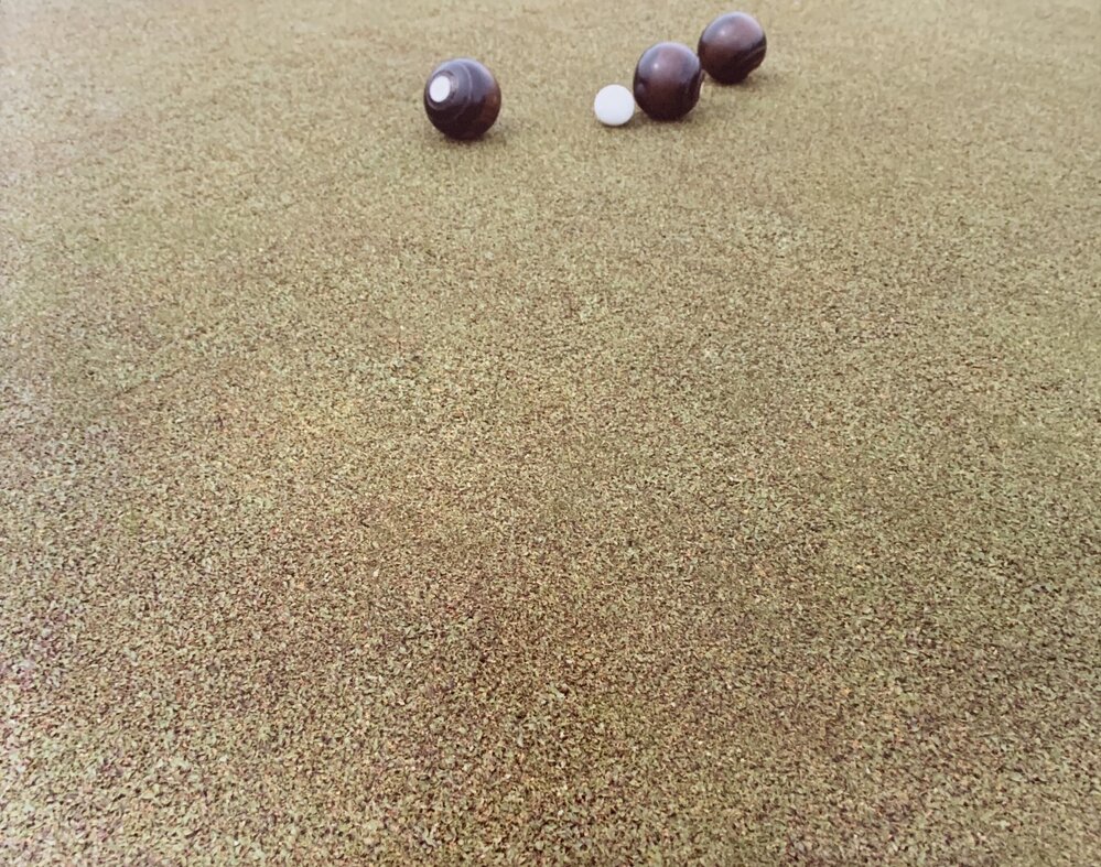 Cotula turf and the bowling green - 4 of 8