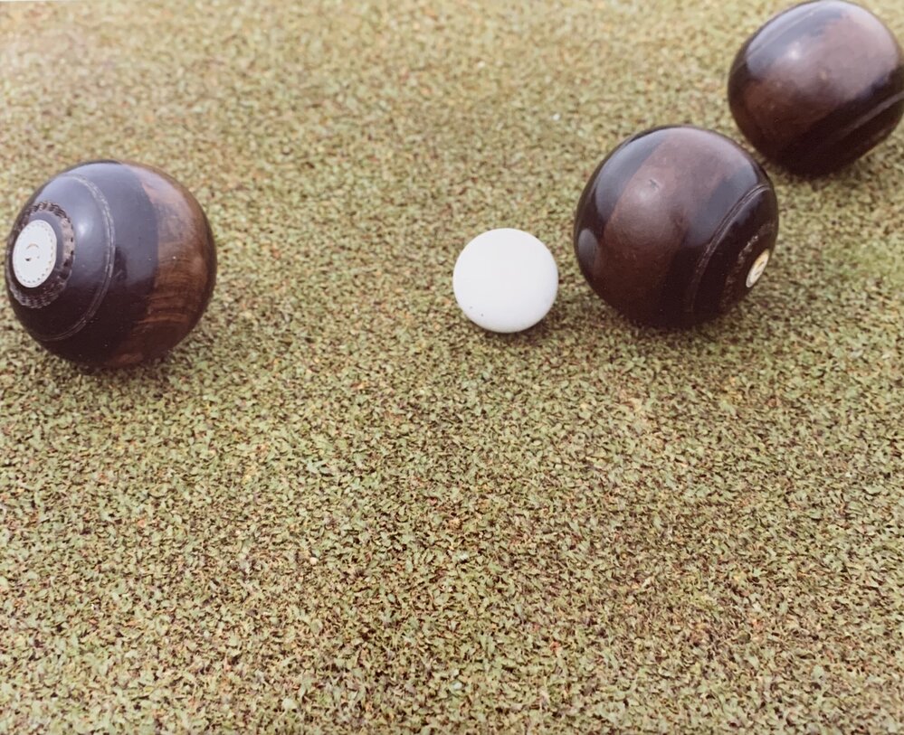 Cotula turf and the bowling green - 1 of 8