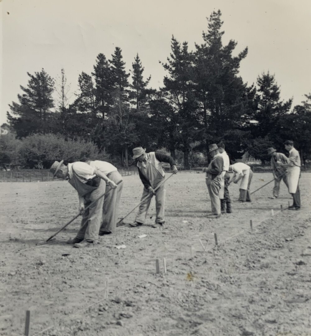 Spaced plants at Grasslands - 7 of 7