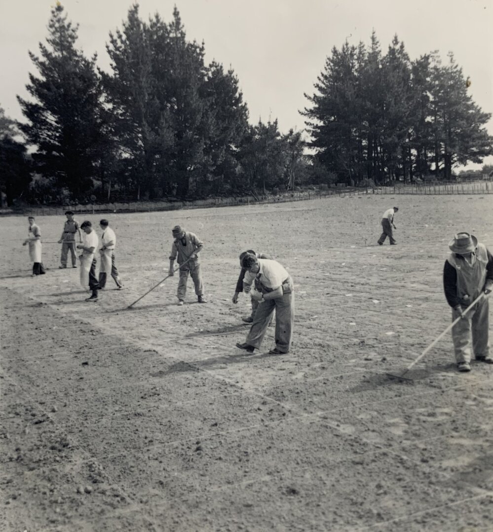 Spaced plants at Grasslands - 6 of 7