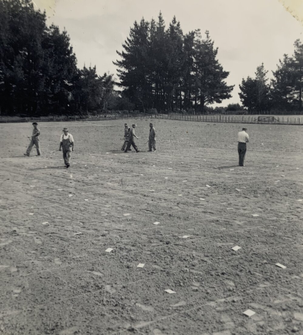 Spaced plants at Grasslands - 5 of 7