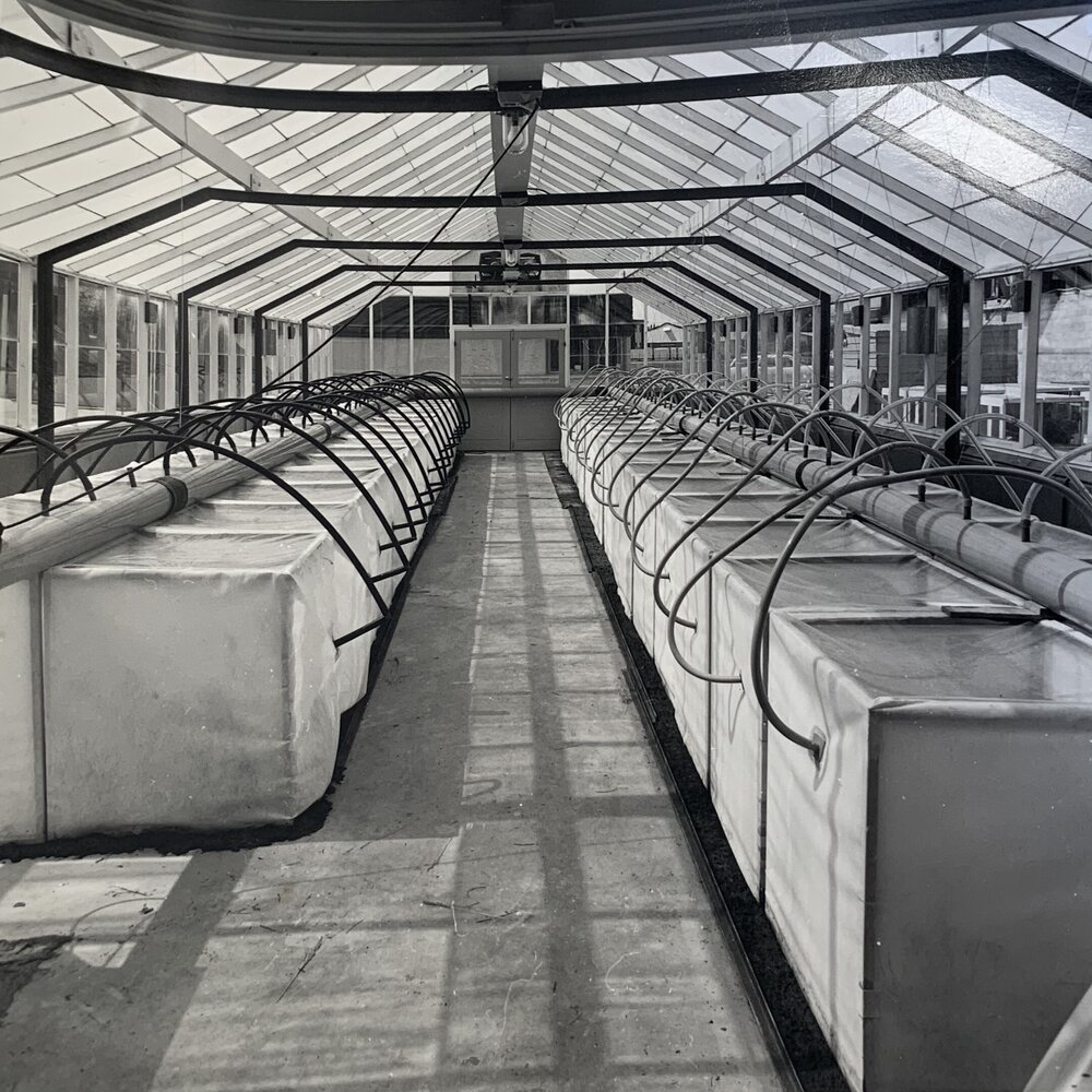 Growth chamber - 2 of 2