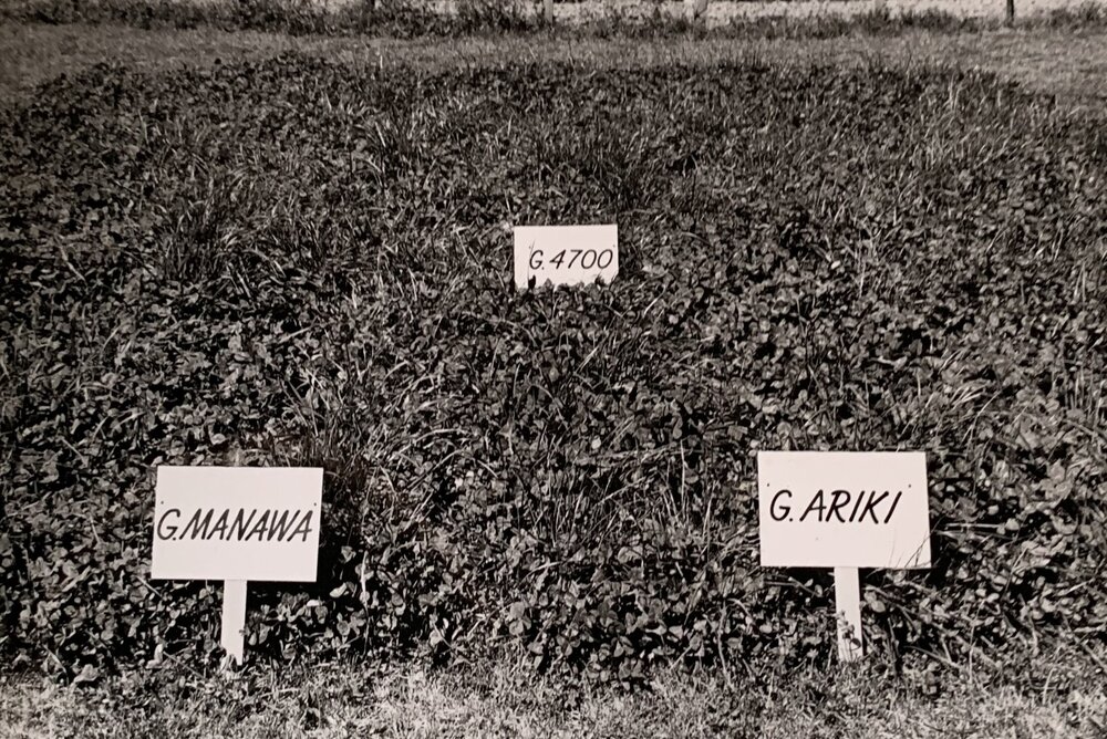 Plots: Manawa, G.4700 and Ariki