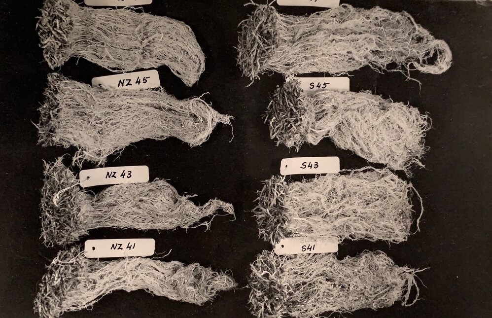 Labelled bundles of roots