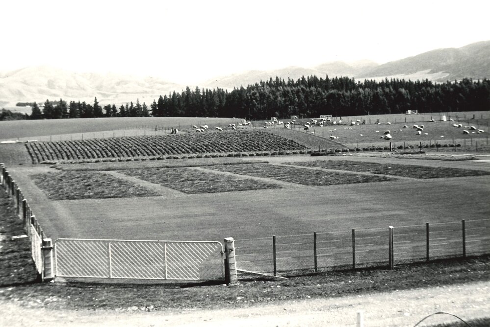 Paddocks of the Gore Research Station