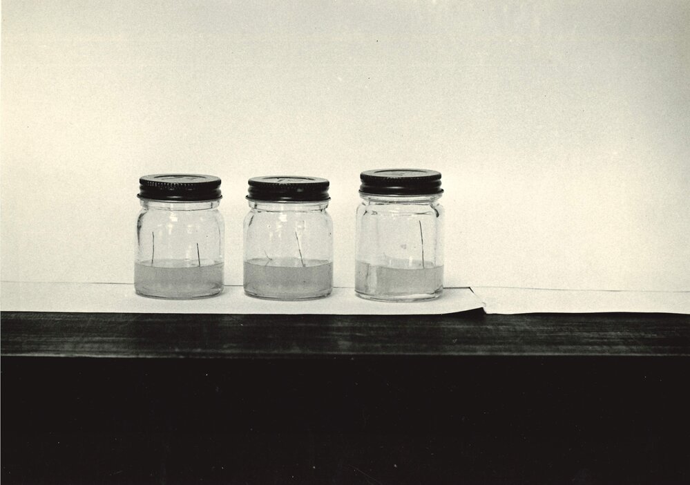 Soil Chemistry Laboratory - lidded jars