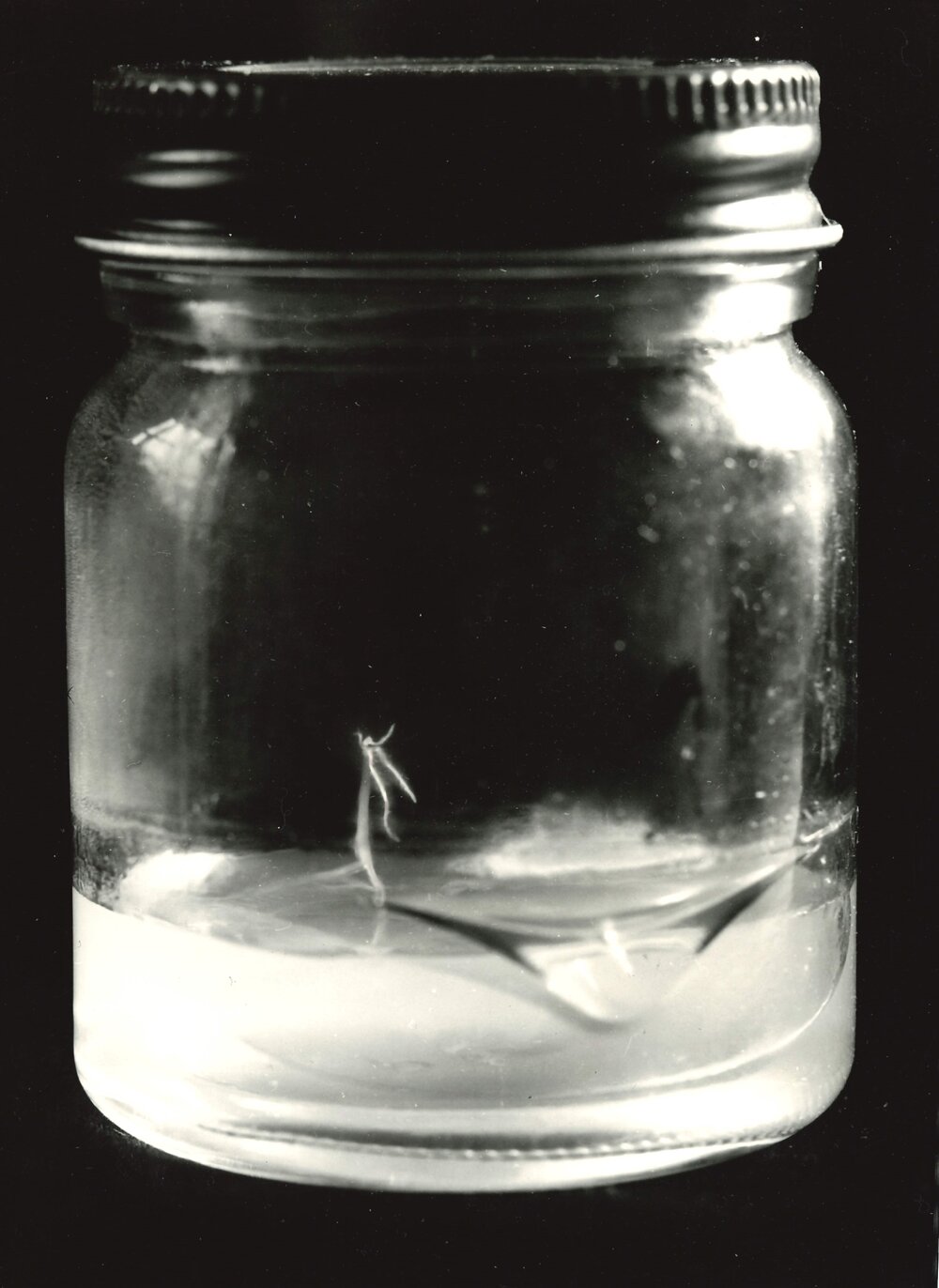 Soil Chemistry Laboratory - Jar