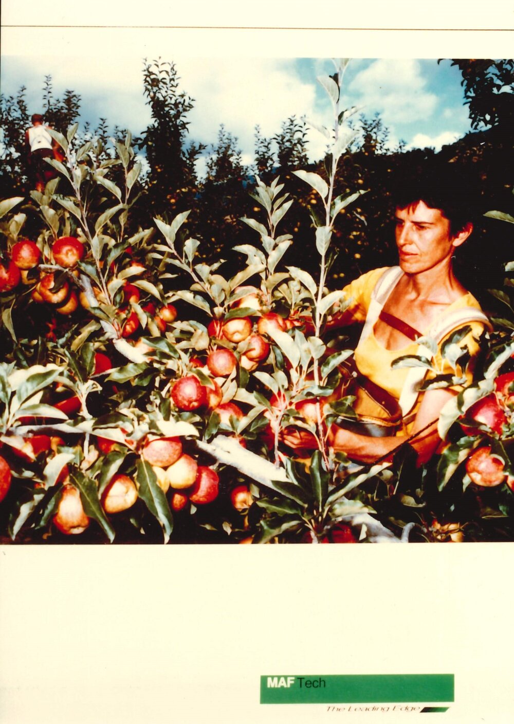 MafTech fruit - 2 of 10