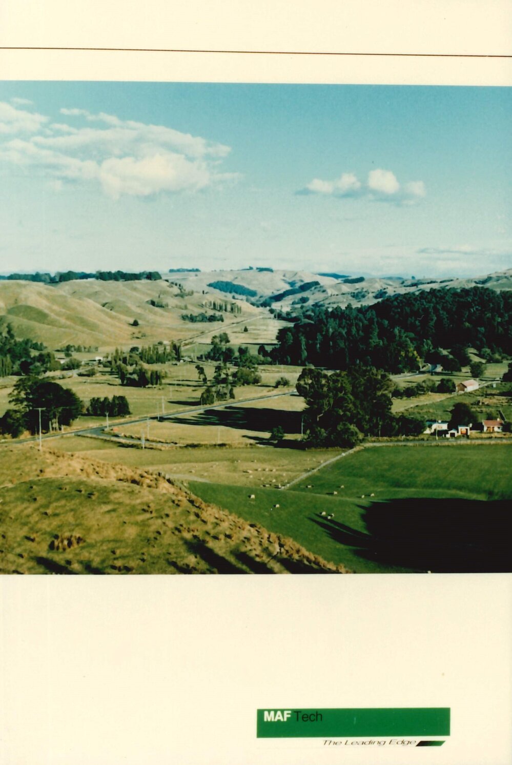 MafTech landscapes - 3 of 4