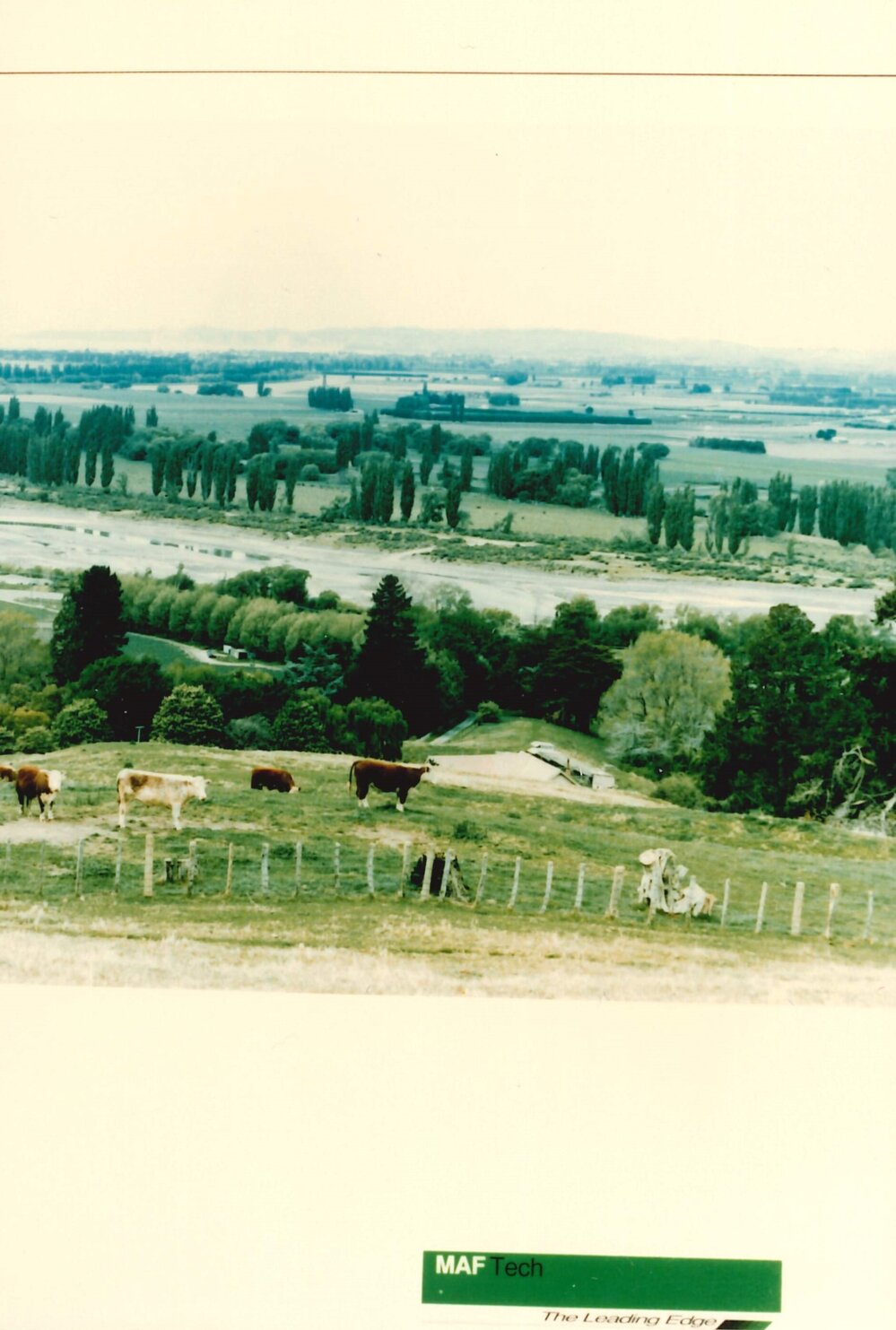 MafTech landscapes - 4 of 4