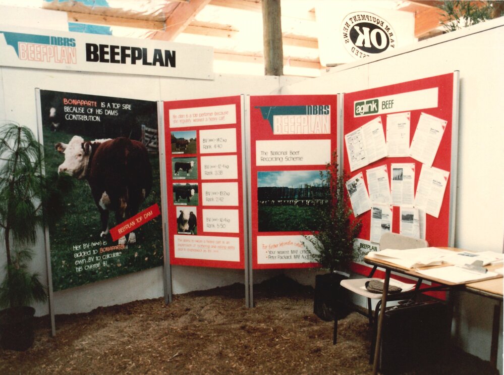 Beef plan display - 1 of 2