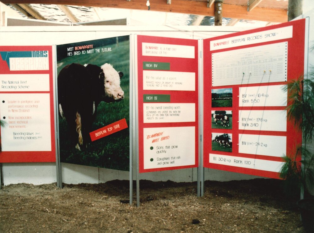 Beef plan display - 2 of 2