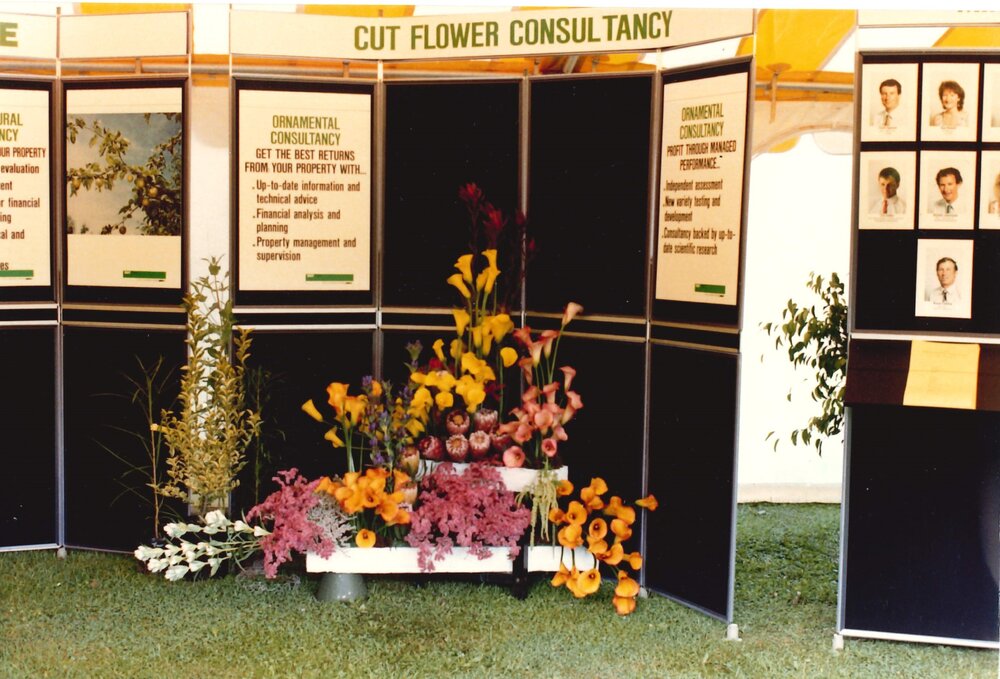 Levin Horticultural Field Day - 1 of 11