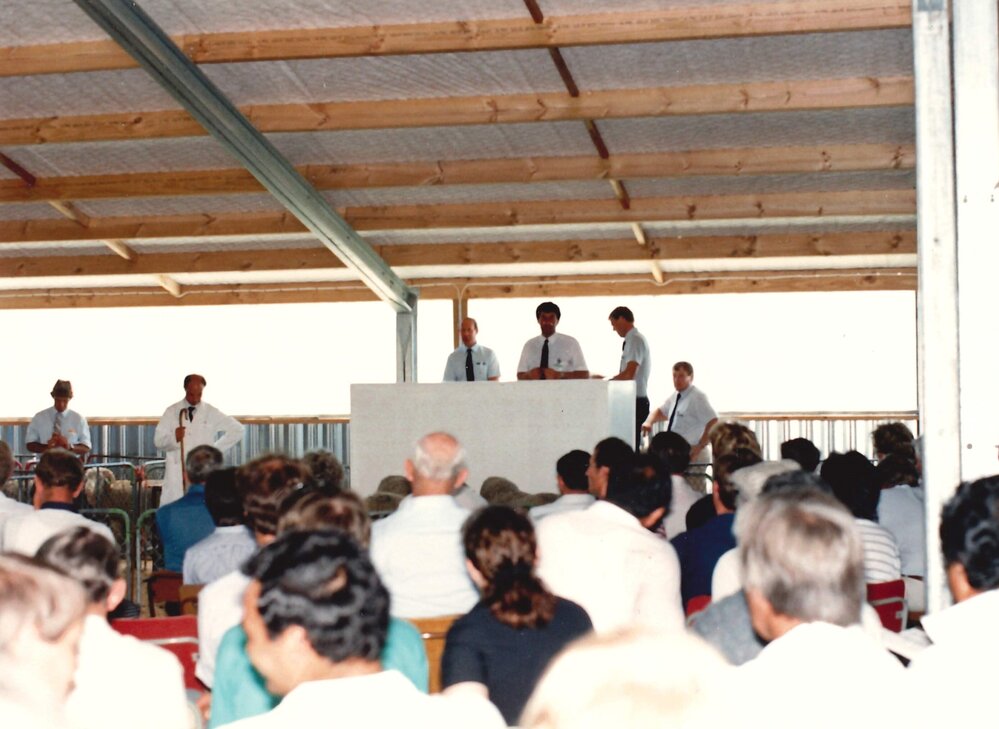 Merino ram sale - 1988 - 3 of 7