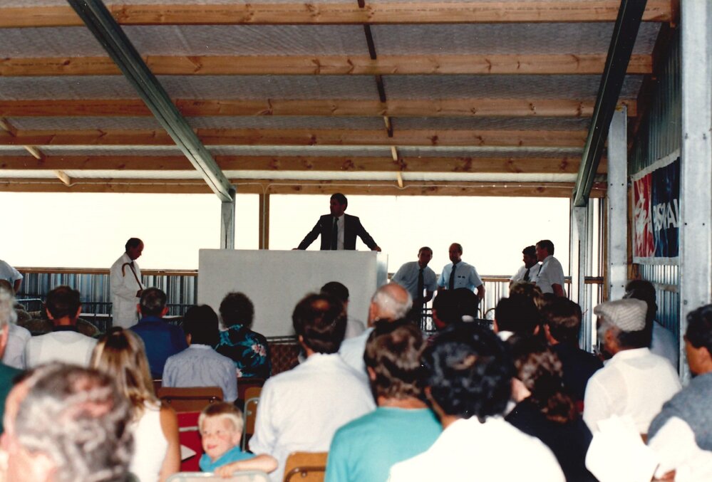 Merino ram sale - 1988 - 4 of 7