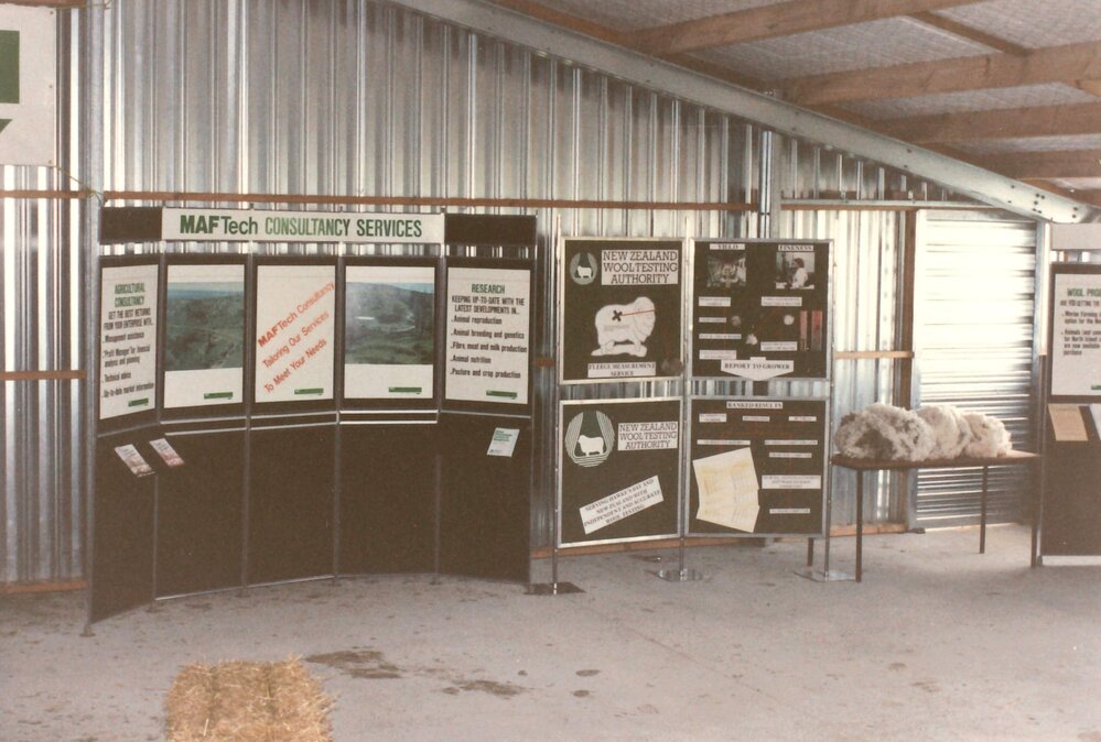 Merino ram sale - 1987 - 4 of 5