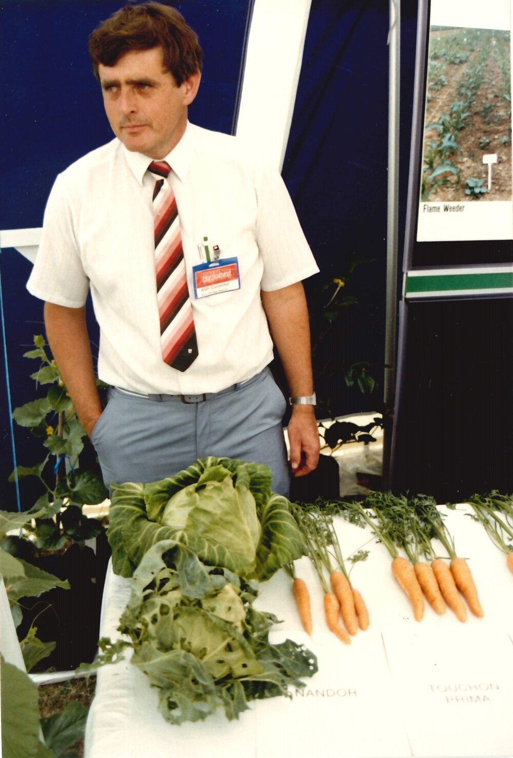 Field day carrots - 1 of 7
