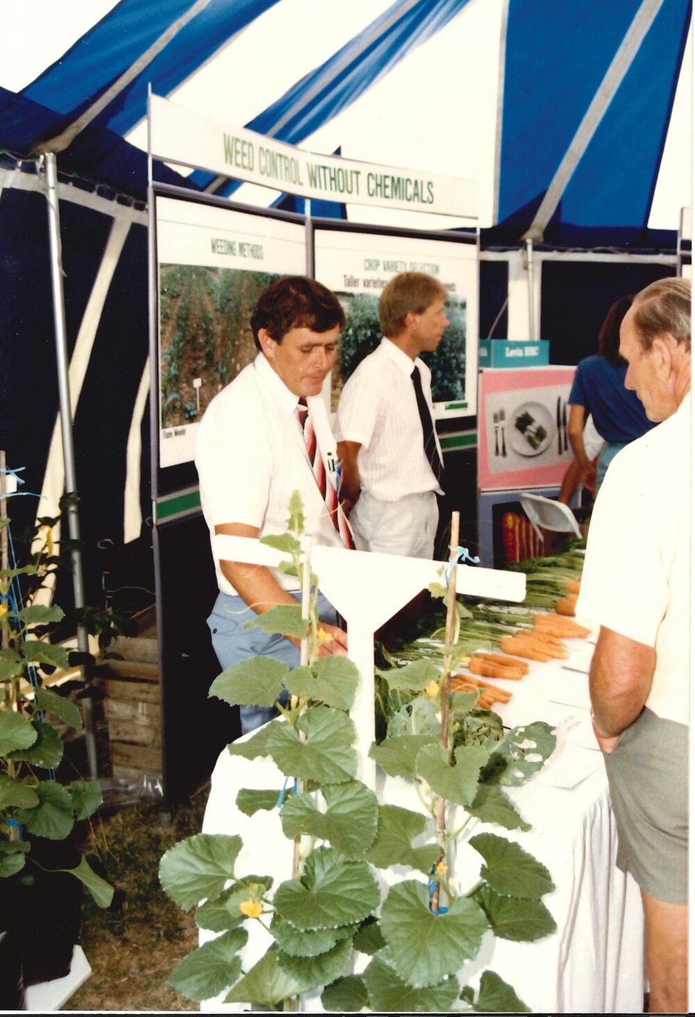 Field day carrots - 2 of 7