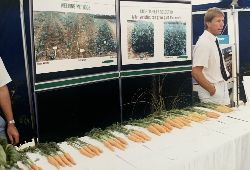 Field day carrots - 5 of 7